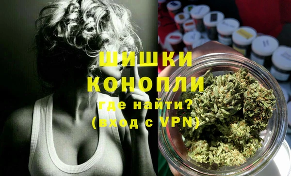 дживик Мегион