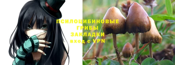 дживик Мегион