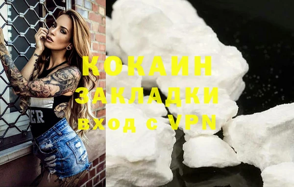 дживик Мегион