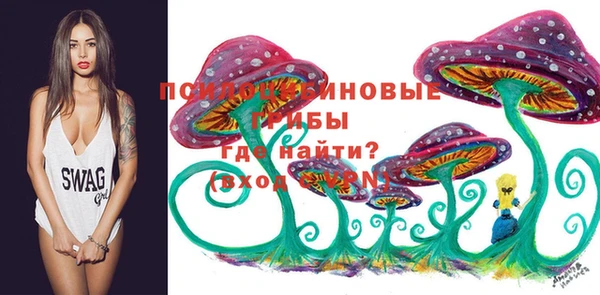 гидра Медвежьегорск