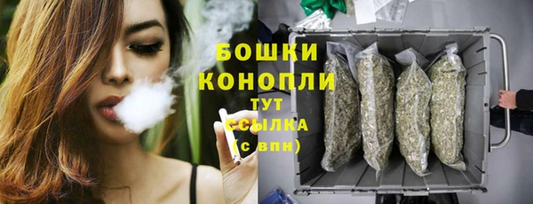 дживик Мегион