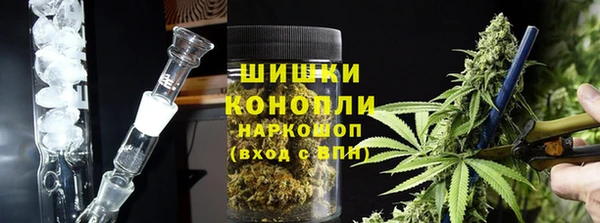 дживик Мегион