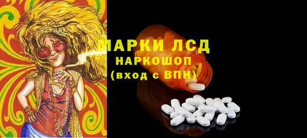 гидра Медвежьегорск